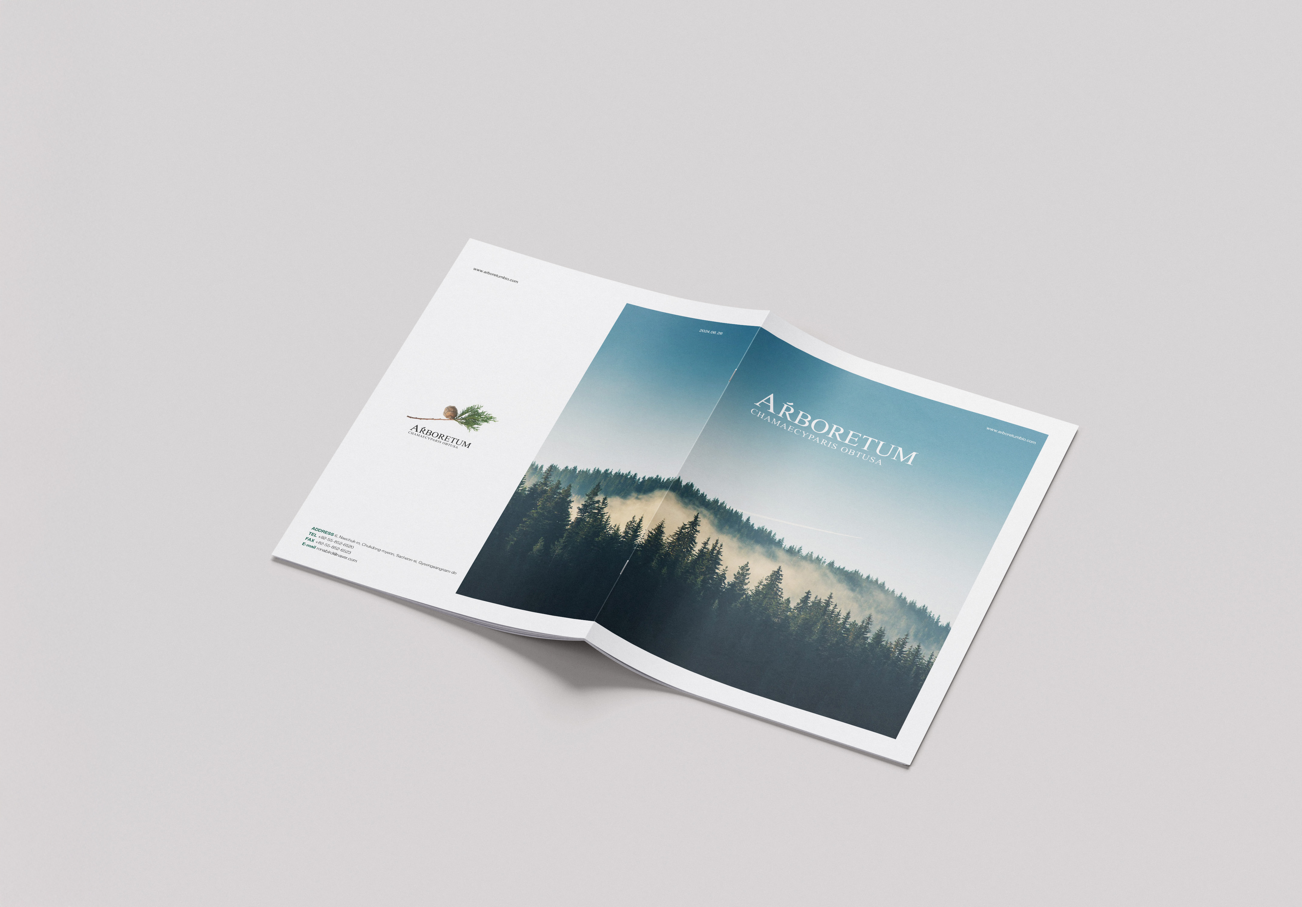 catalogue