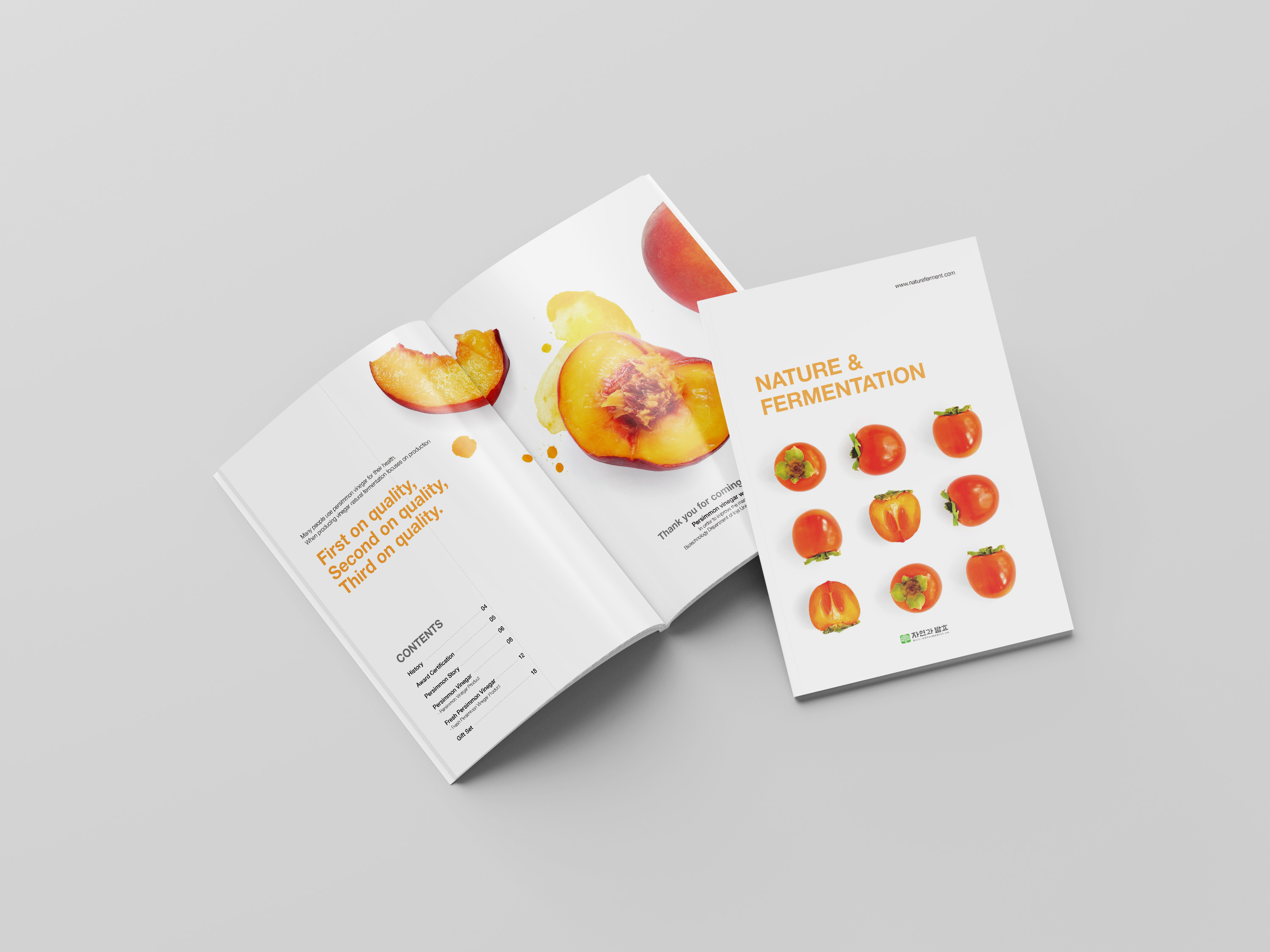catalogue